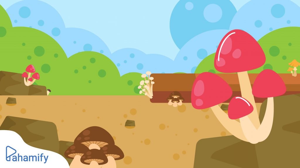 Pengelompokkan Jamur Yang Berdasarkan Fungsinya Pahamify Teman Persiapan Utbk